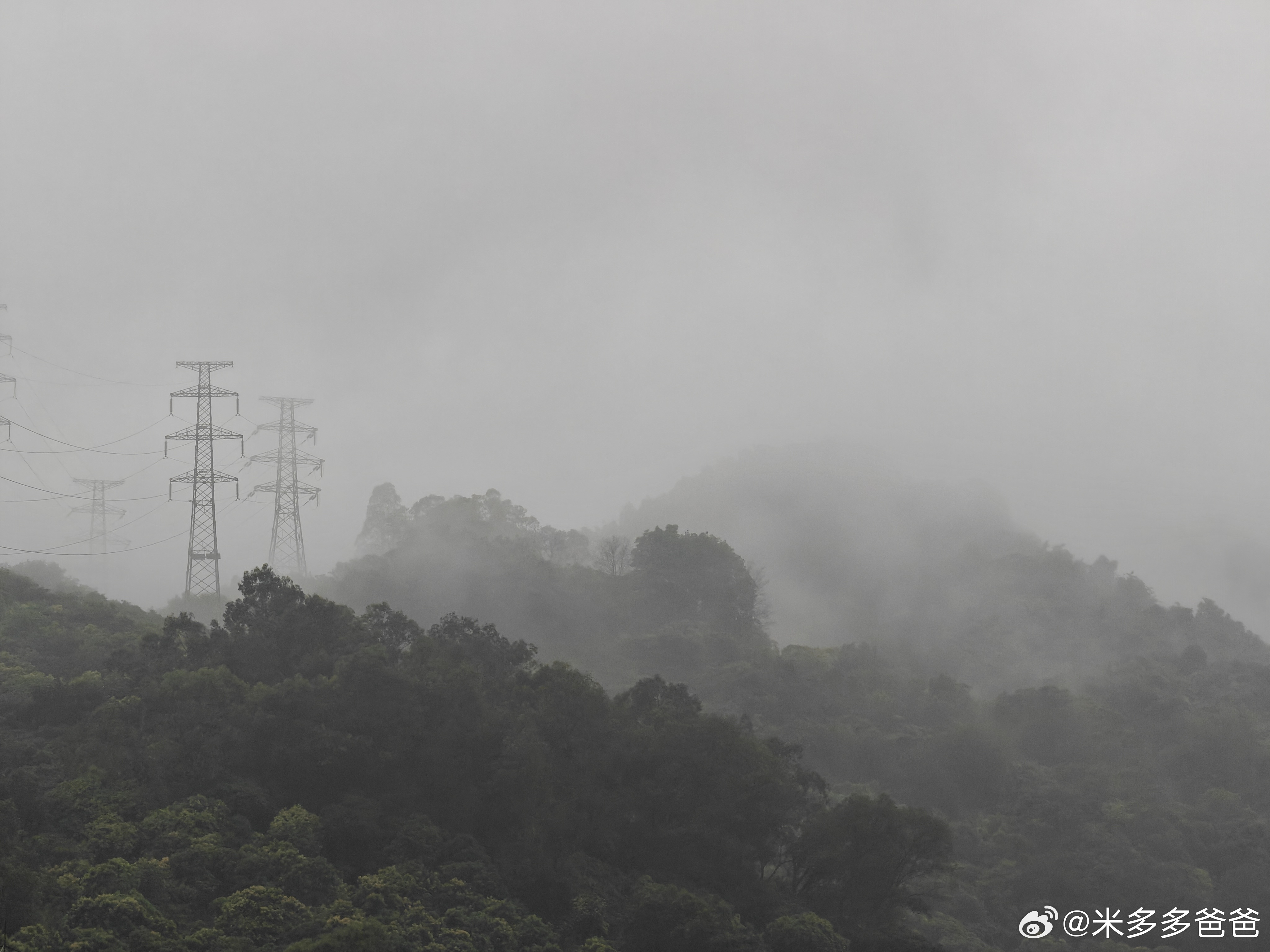 春雨绵绵散大雾是指什么生肖,深度解答解释落实_eq291.69.24