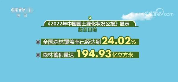 神州大地分外红,是什么生肖,构建解答解释落实_t8f55.12.91